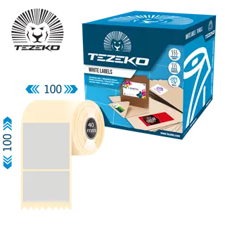 100 mm x 100 mm Plastové Kotoučové etikety Stříbrná ( 400 etikety/kotúč )